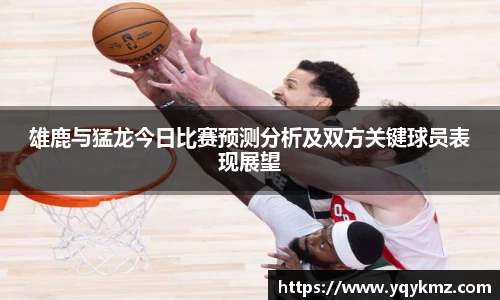 雄鹿与猛龙今日比赛预测分析及双方关键球员表现展望
